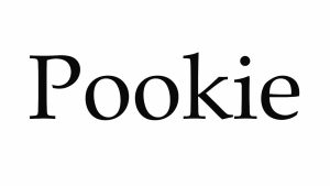 Understanding the Term “Pookie” and How to Use It-1