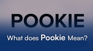 Understanding the Term “Pookie” and How to Use It-2